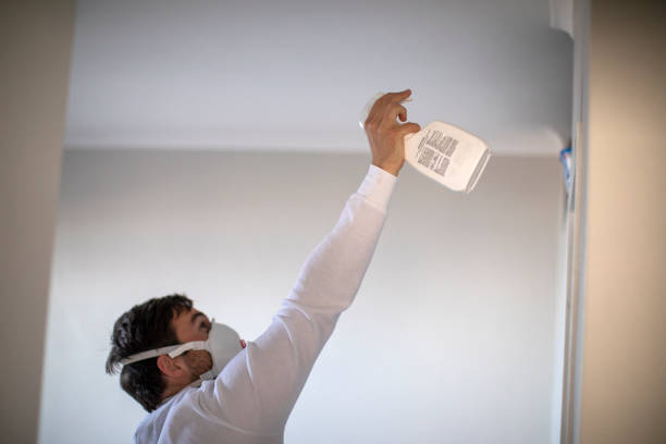 Best Home Mold Removal  in Belleair Bluffs, FL